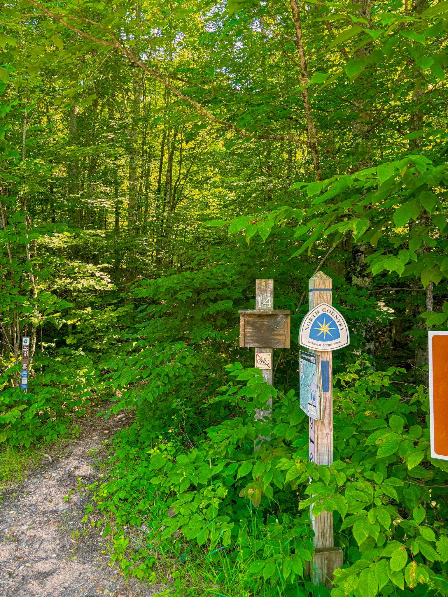 Hiking a wooded path in Northern Michigan on the North Country Trail