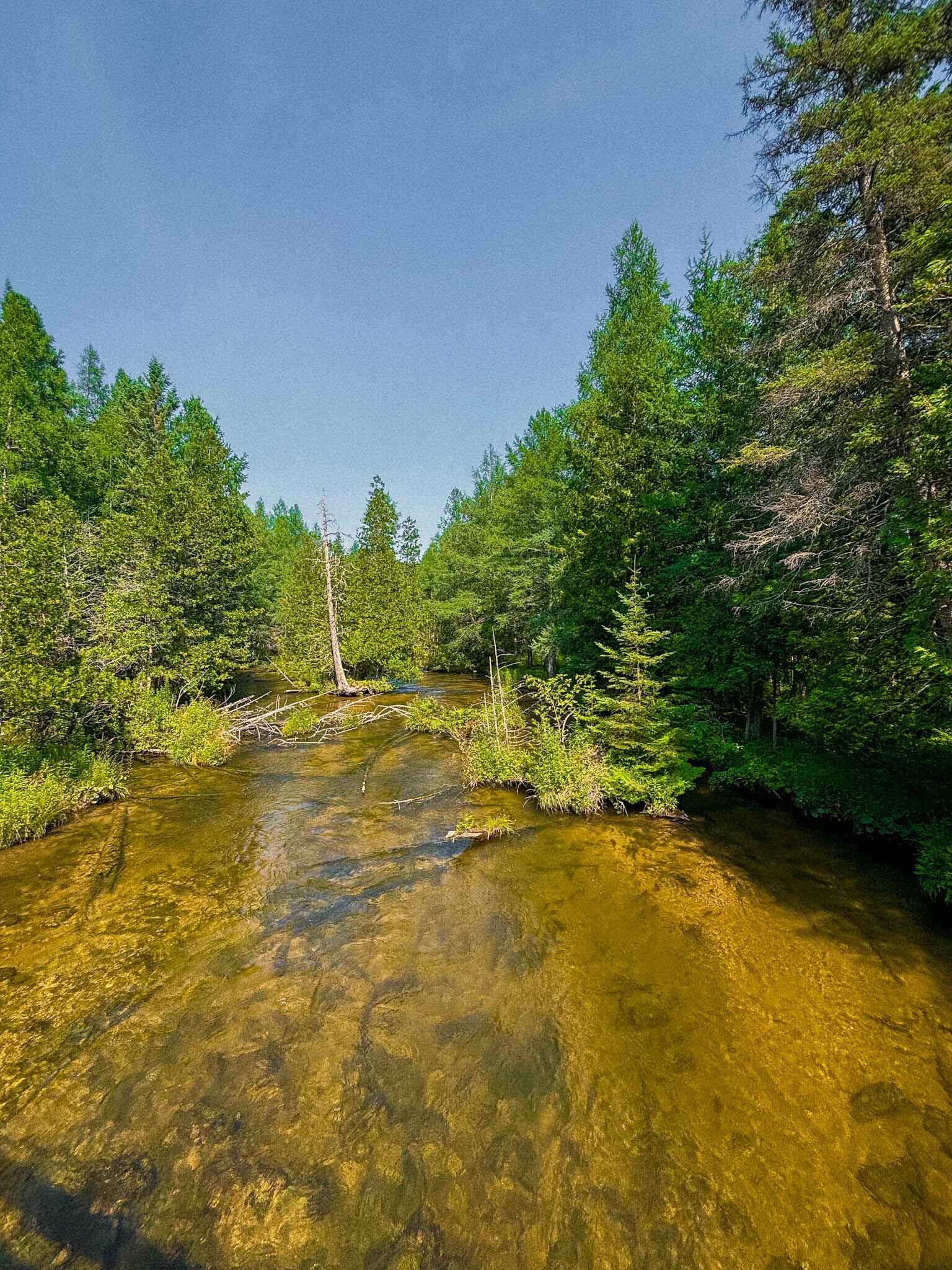 image of a crystal clear river near traverse city, michigan