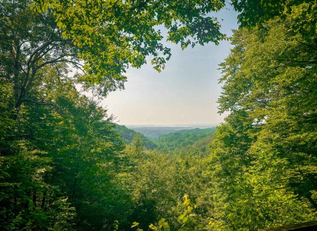 View from landslide overlook on the Jordan River Pathway