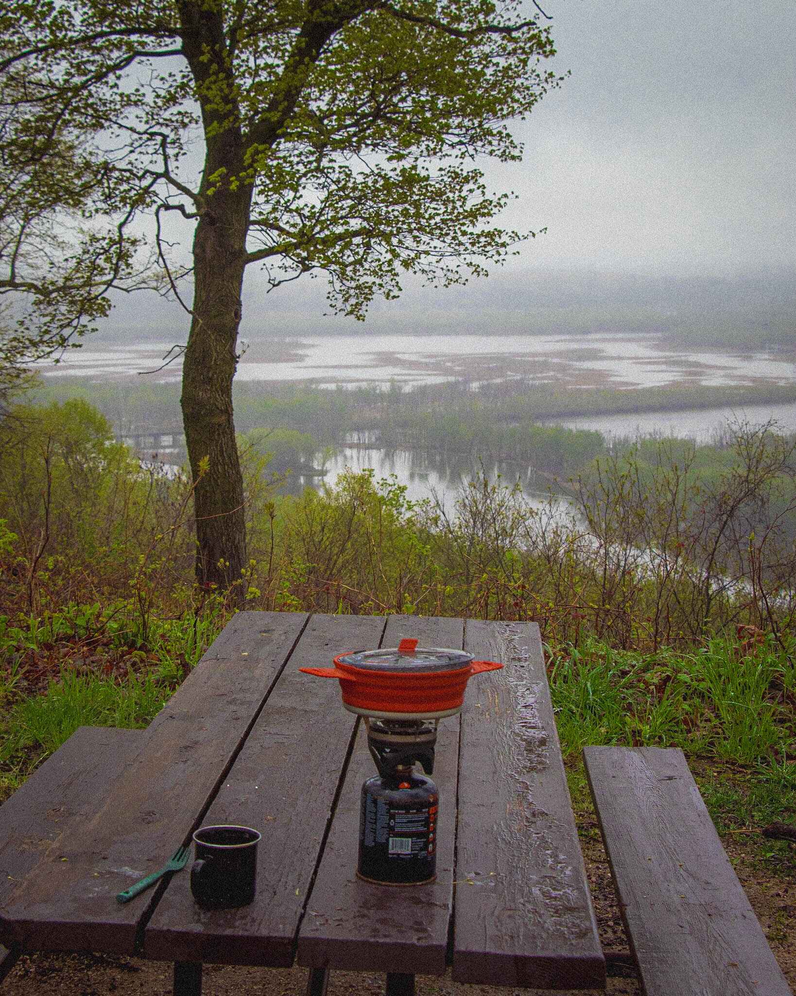 camp stove options for easy camping meal ideas