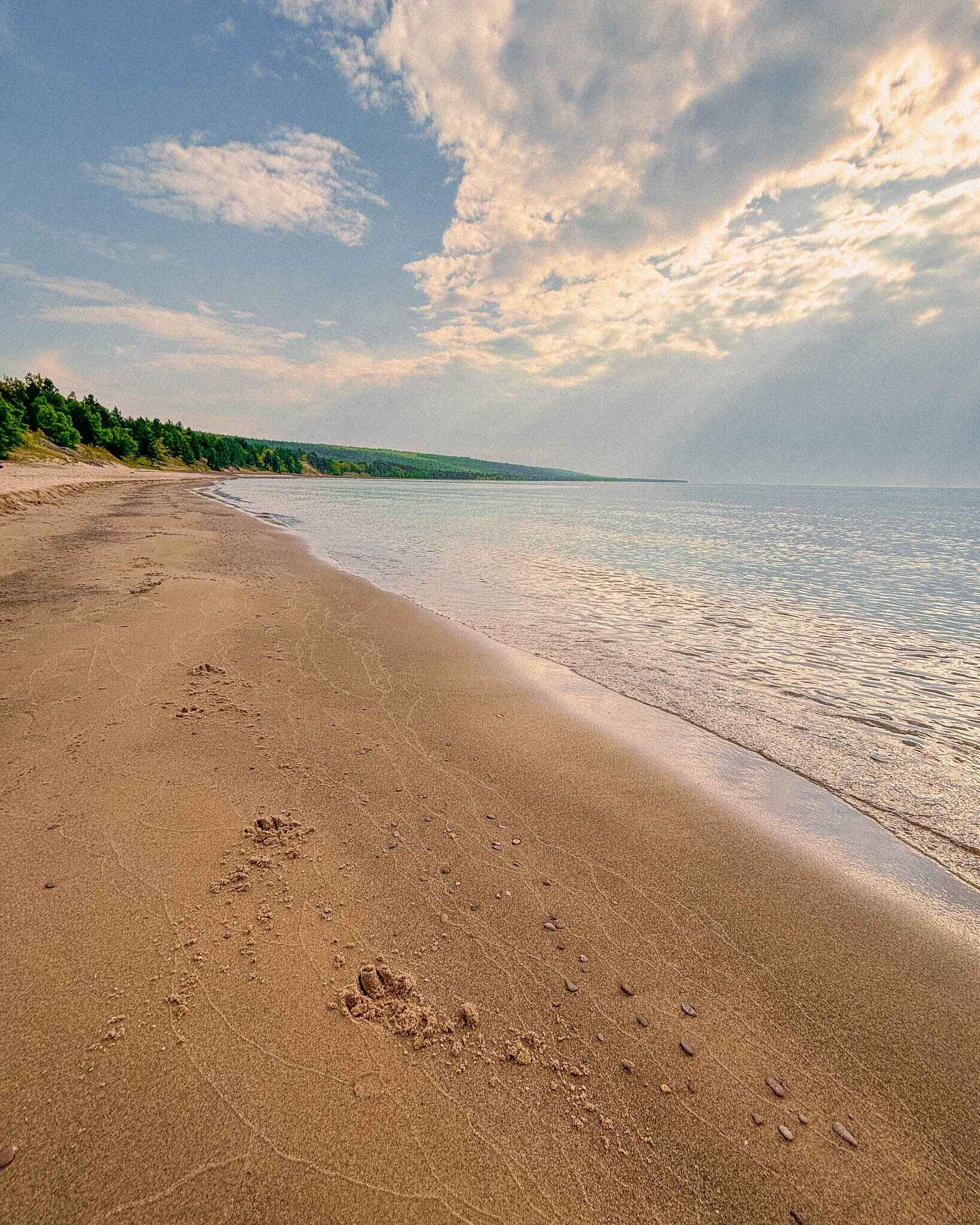 Prints down the beach at Great Sand Bay