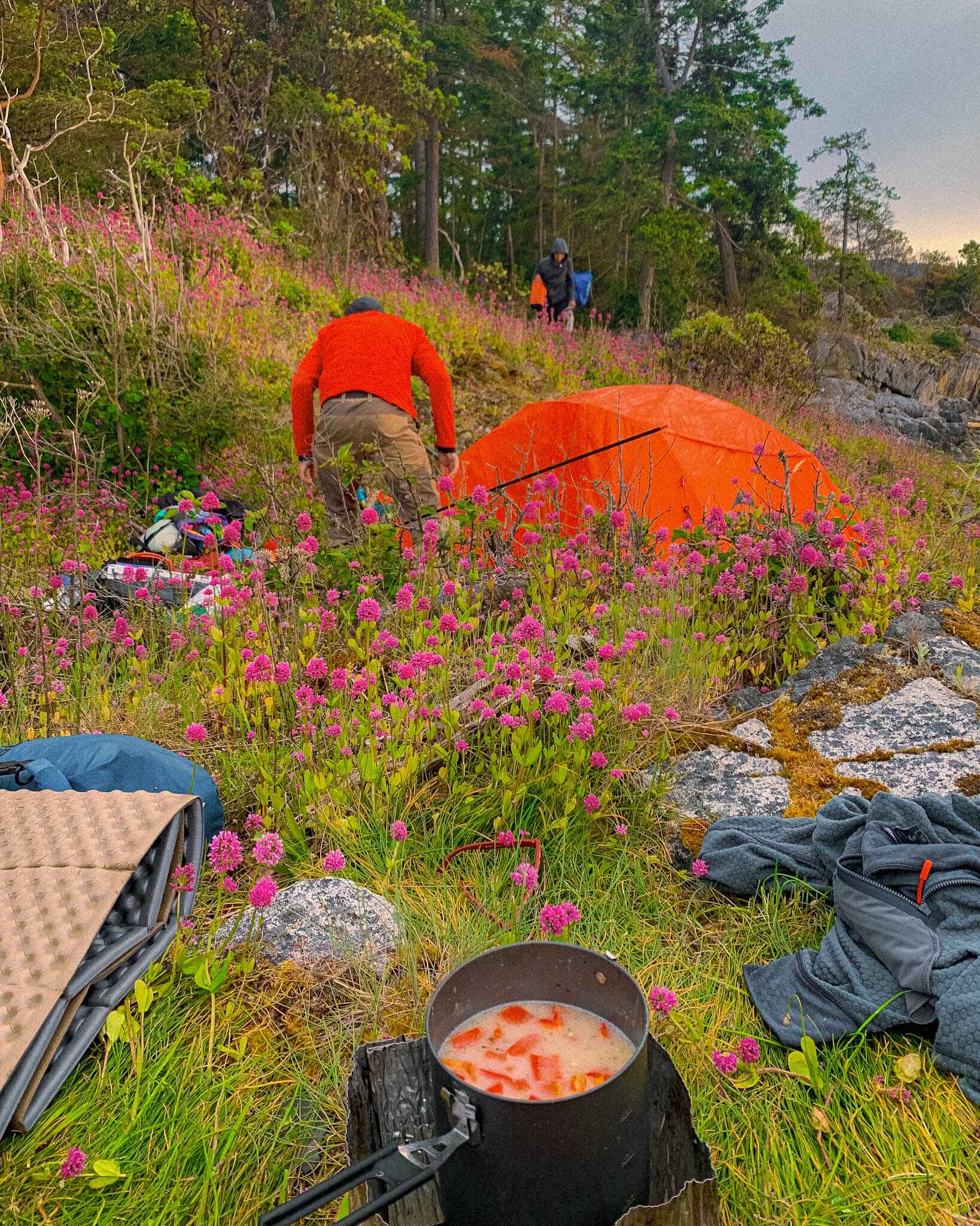 MSR WhisperLIte camp stove in front of a camp on a remote island in British Columnbia