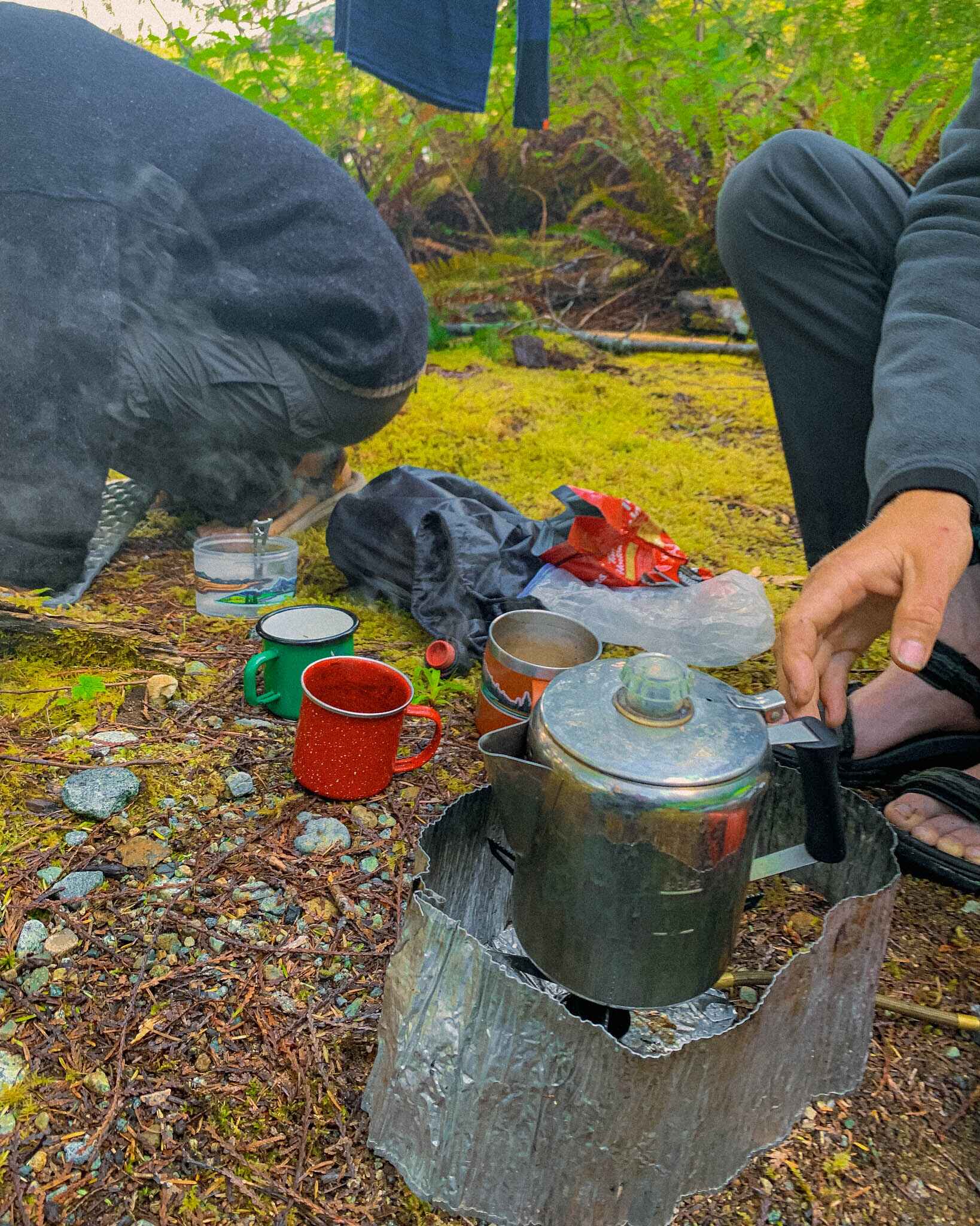Image of a WhisperLite MSR camping stove at a mossy green camp with a coffee pot and camp mugs