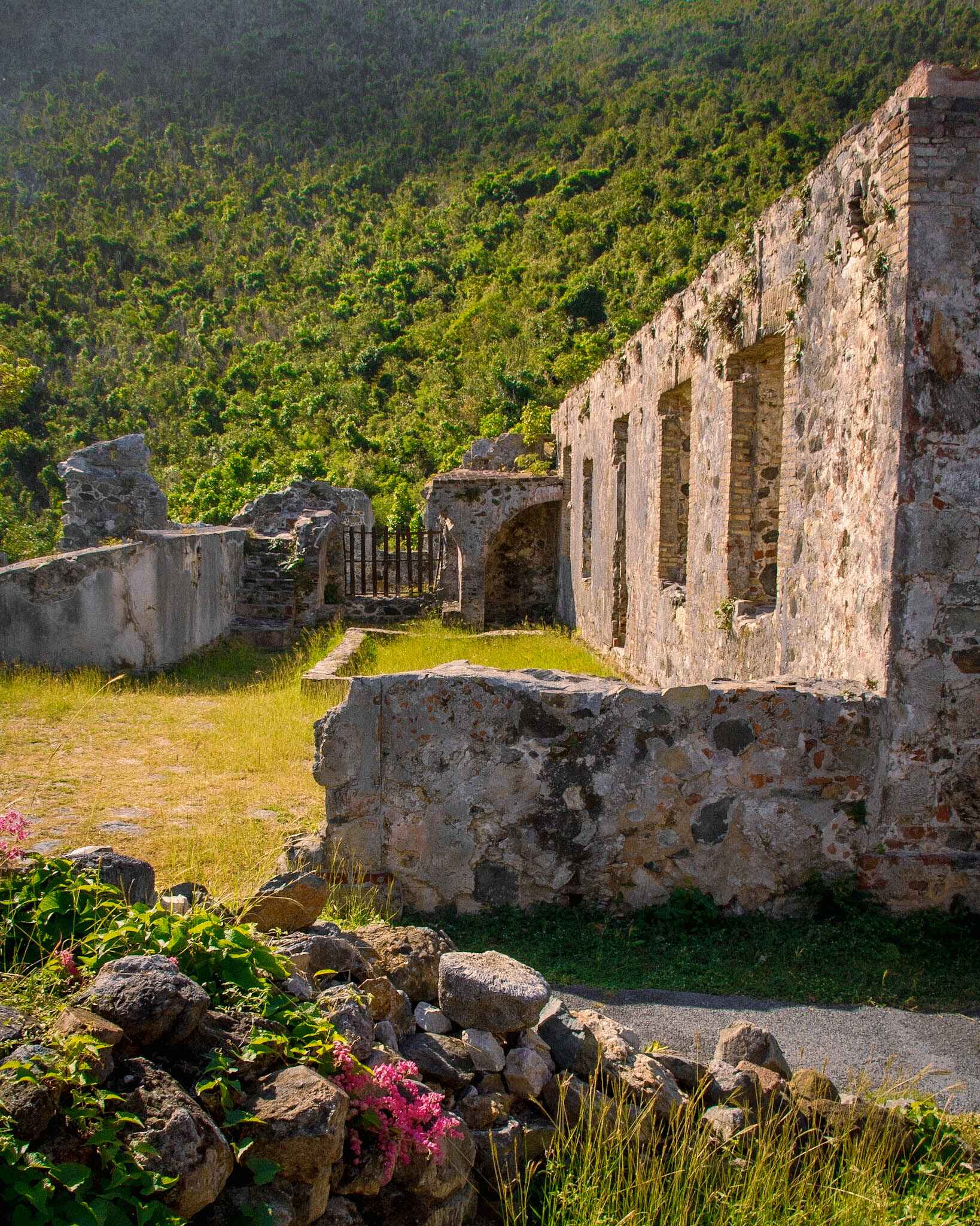 Image of Annaberg Plantation Ruins in Virgin Islands National Park