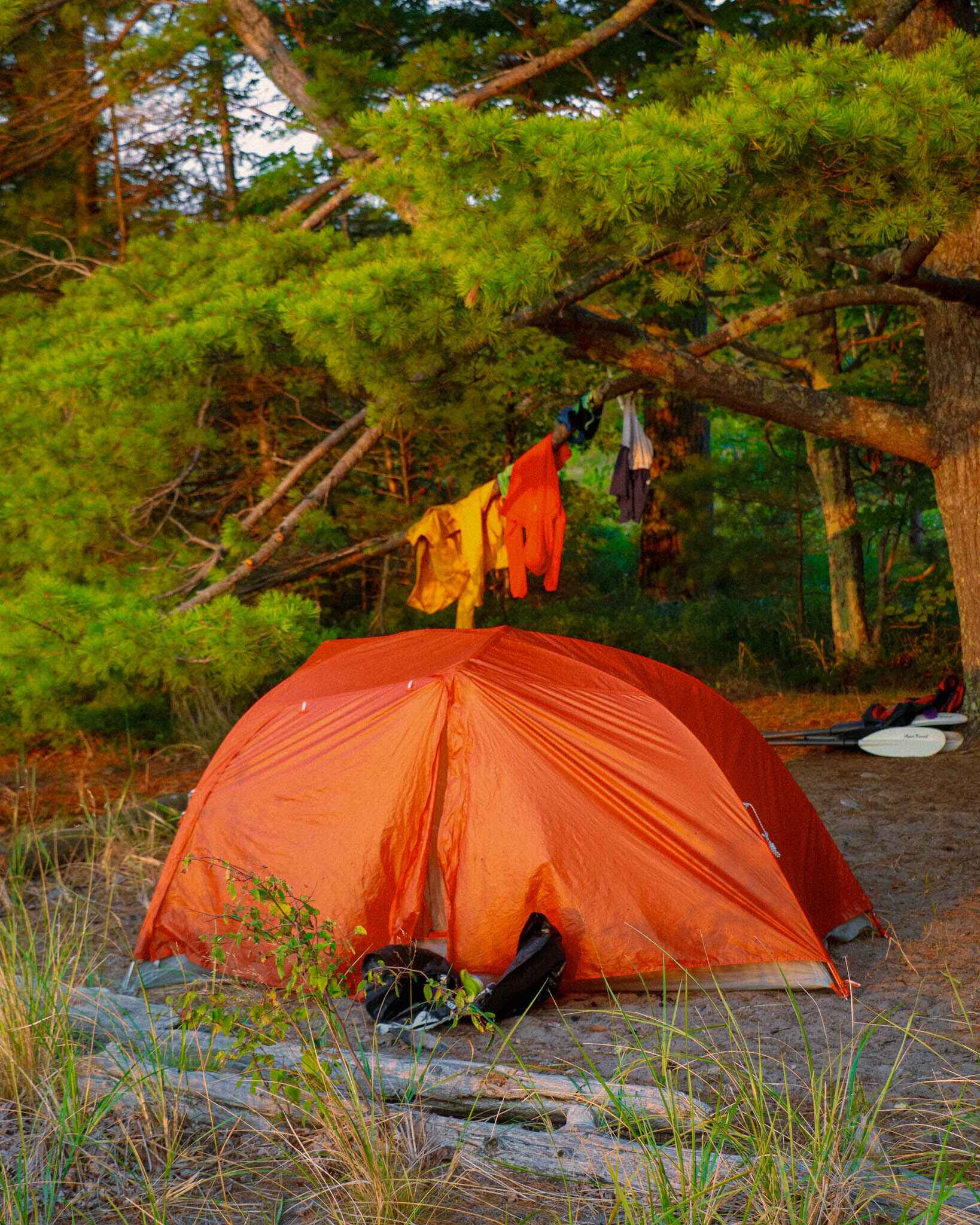 a copperspur backpacking tent set up on an island