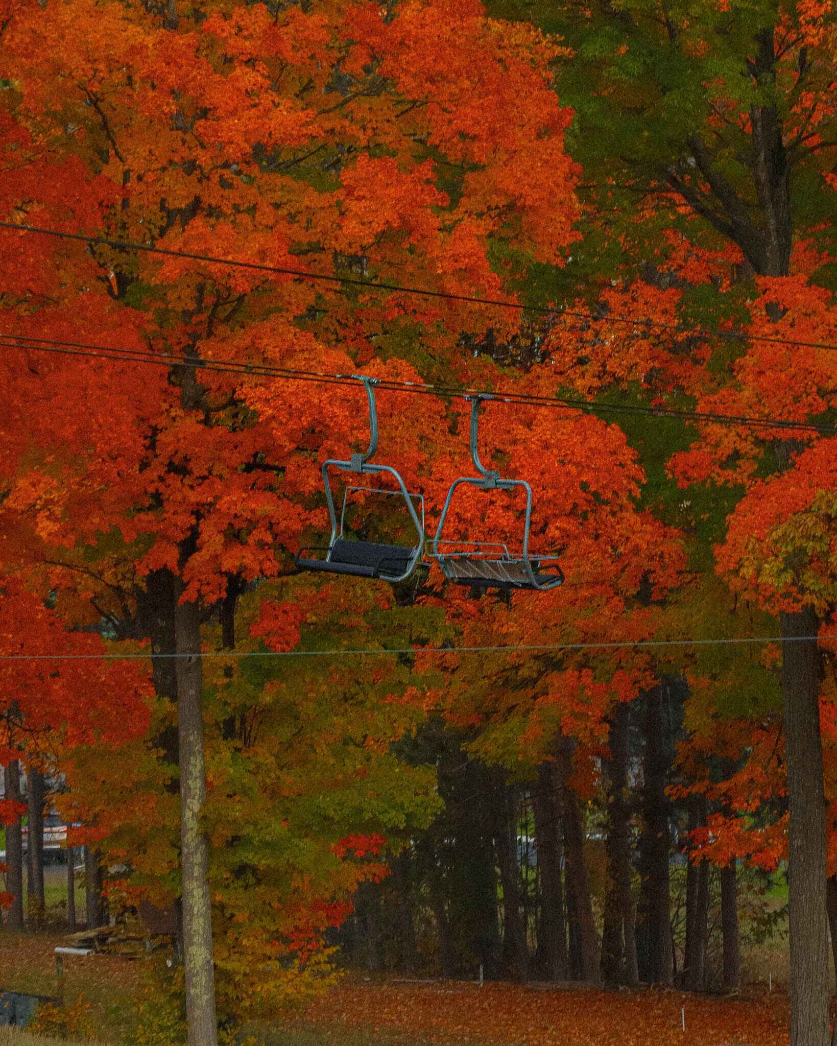 Chairlift in fall color at the Boyne Mountain Skybridge