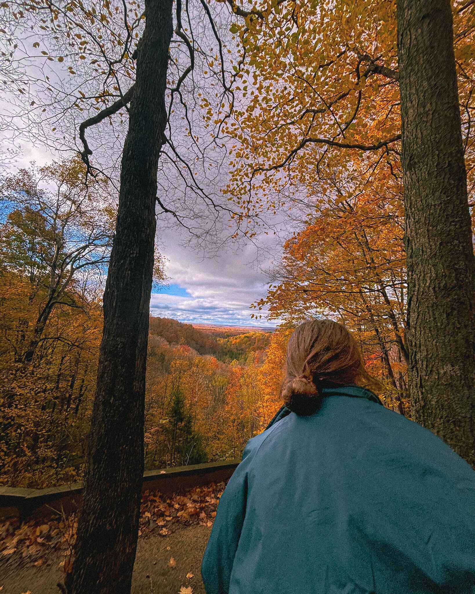 An overlook at peak fall color on the North Country Trail in Michigan