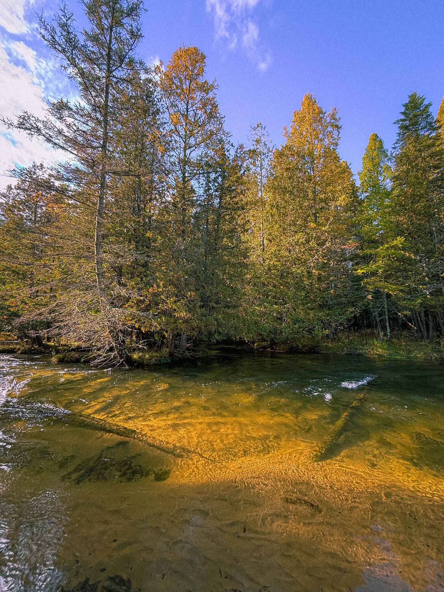 Crystal clear river on the North Country Trail near Traverse City, Michigan