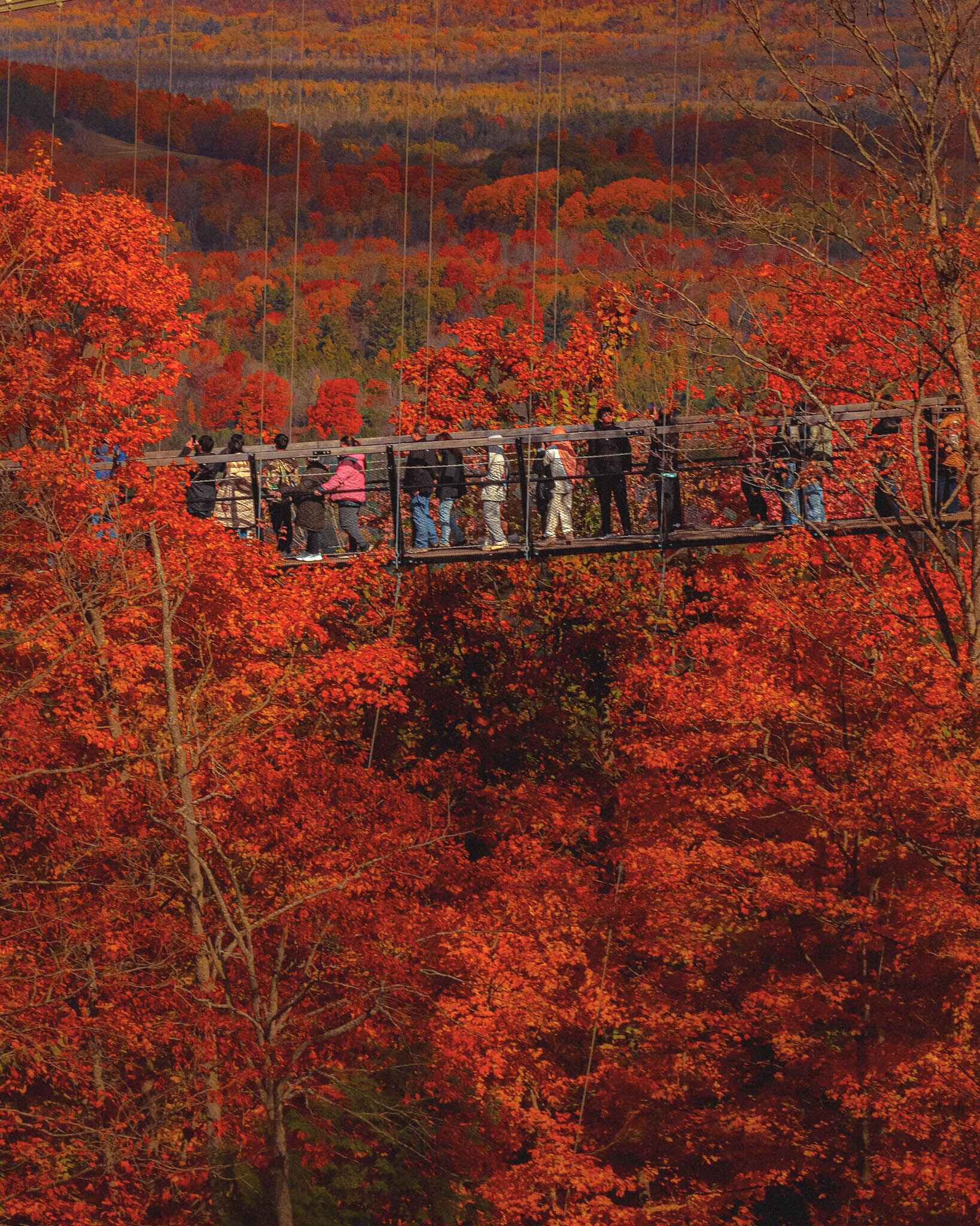 The Boyne Mountain Skybridge in peak fall color filled with tourists