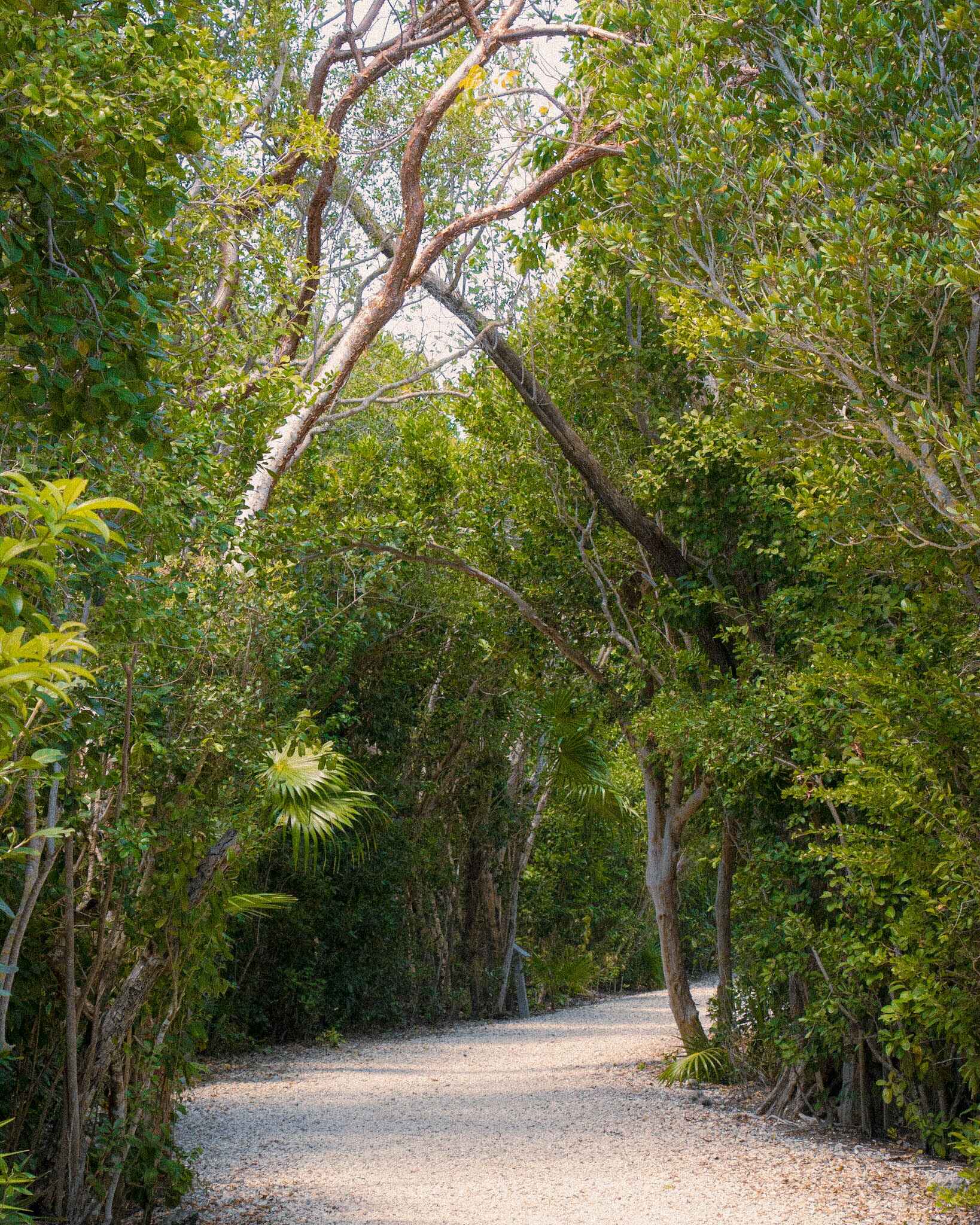 Path at Crane Point Nature Center