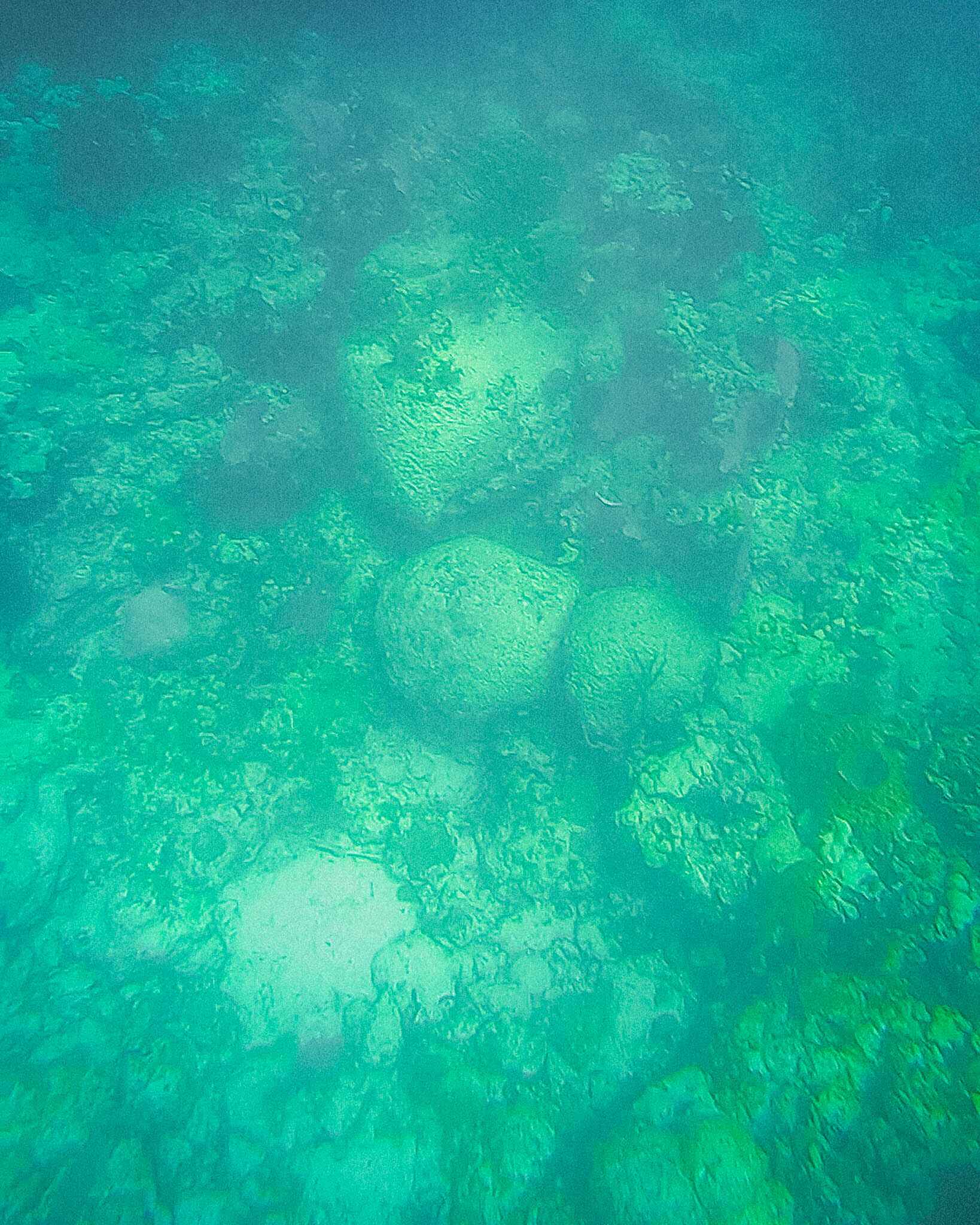 Snorkeling near Marathon, Florida