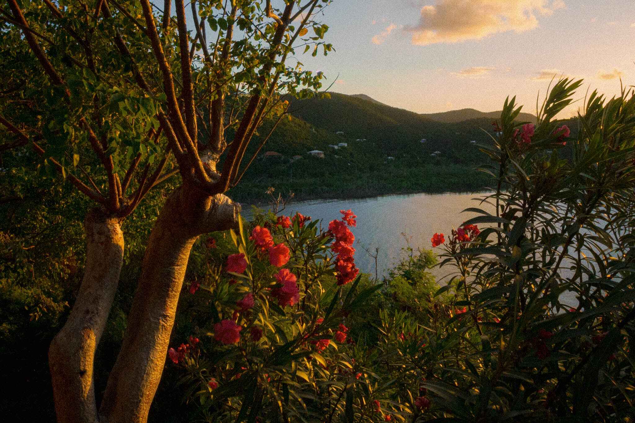 sunset from Virgin Islands National Park