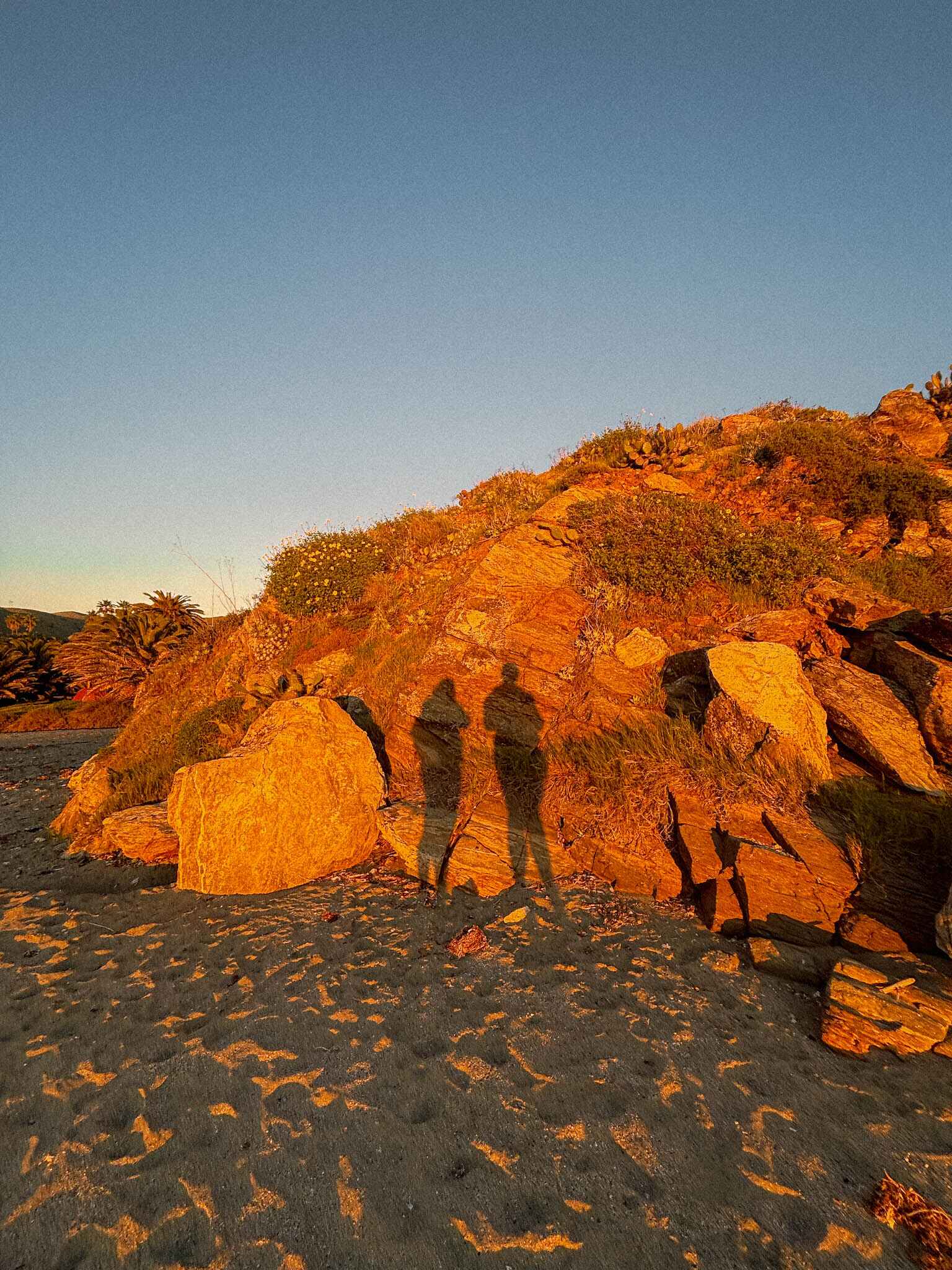 two shadows on the beach at sunset
