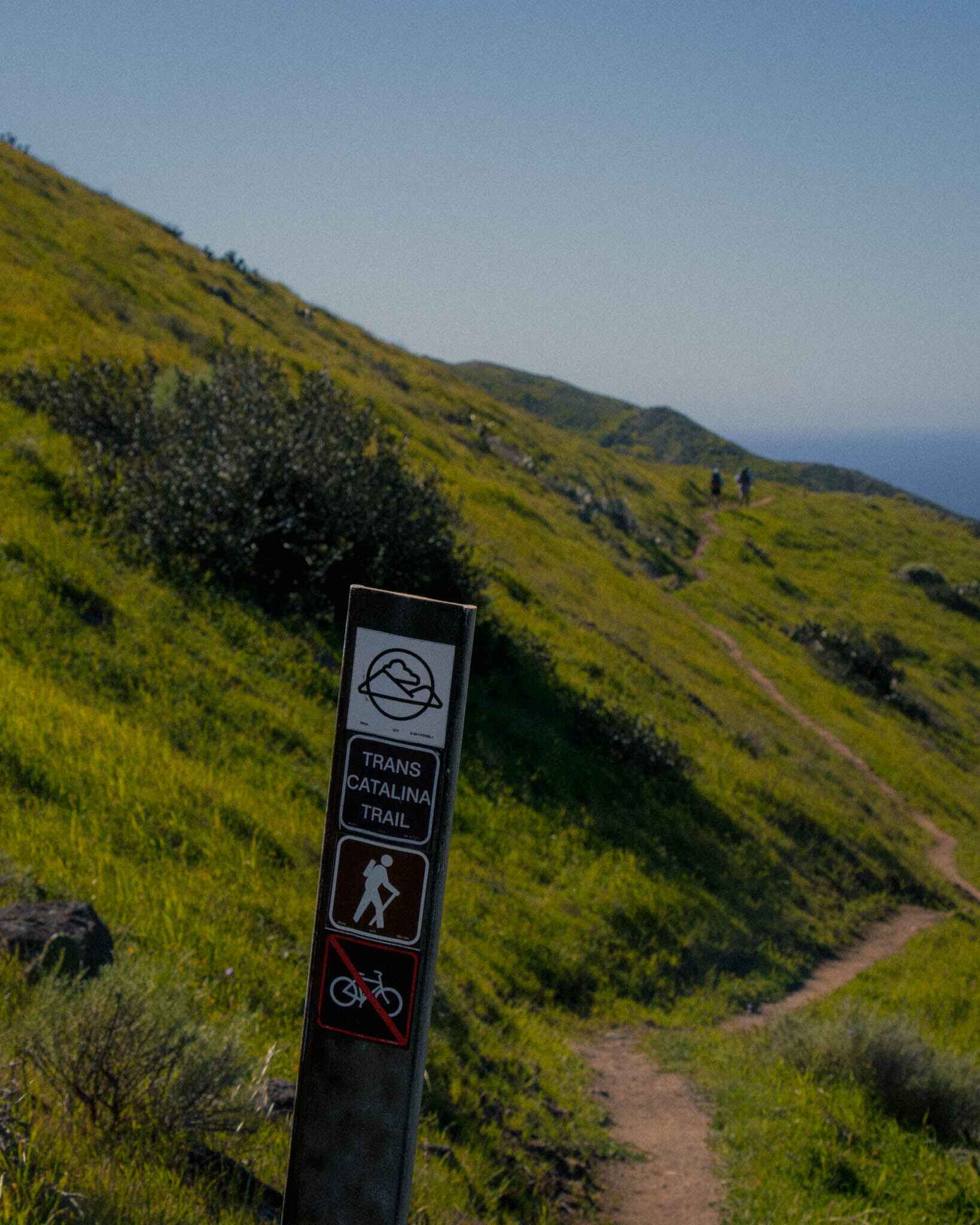 image of a sign marking the transcatalina trail on a hill with hikers in the distance