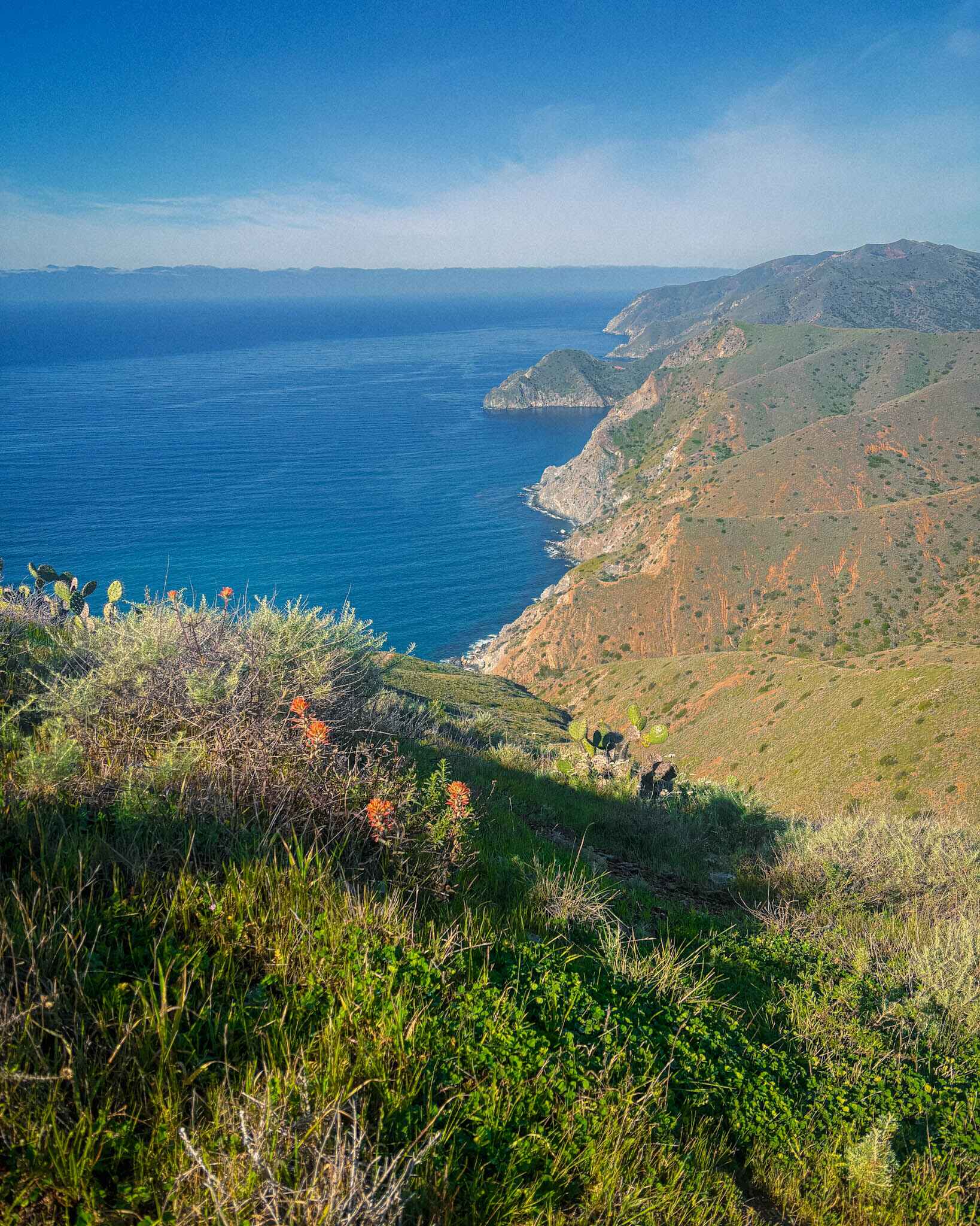 image of hiking between little harbor and two harbors on the transcatalina trail