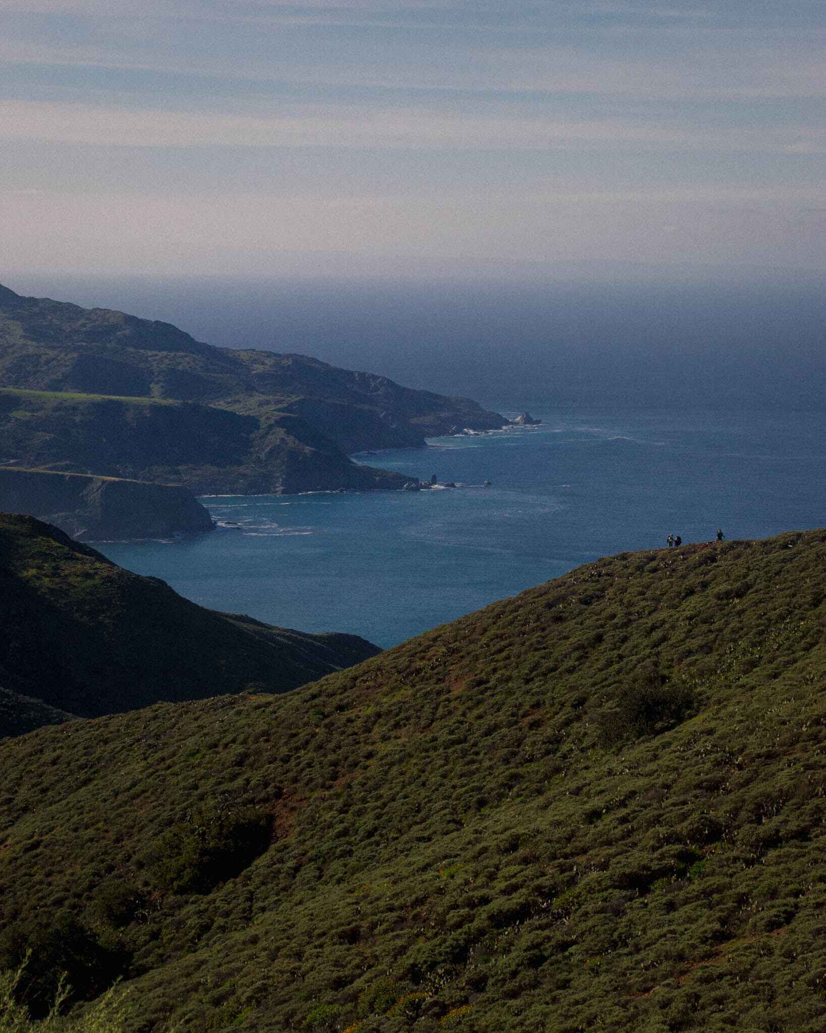 Hikers stand on a hill overlooking the ocean on the Trans Catalina Trail