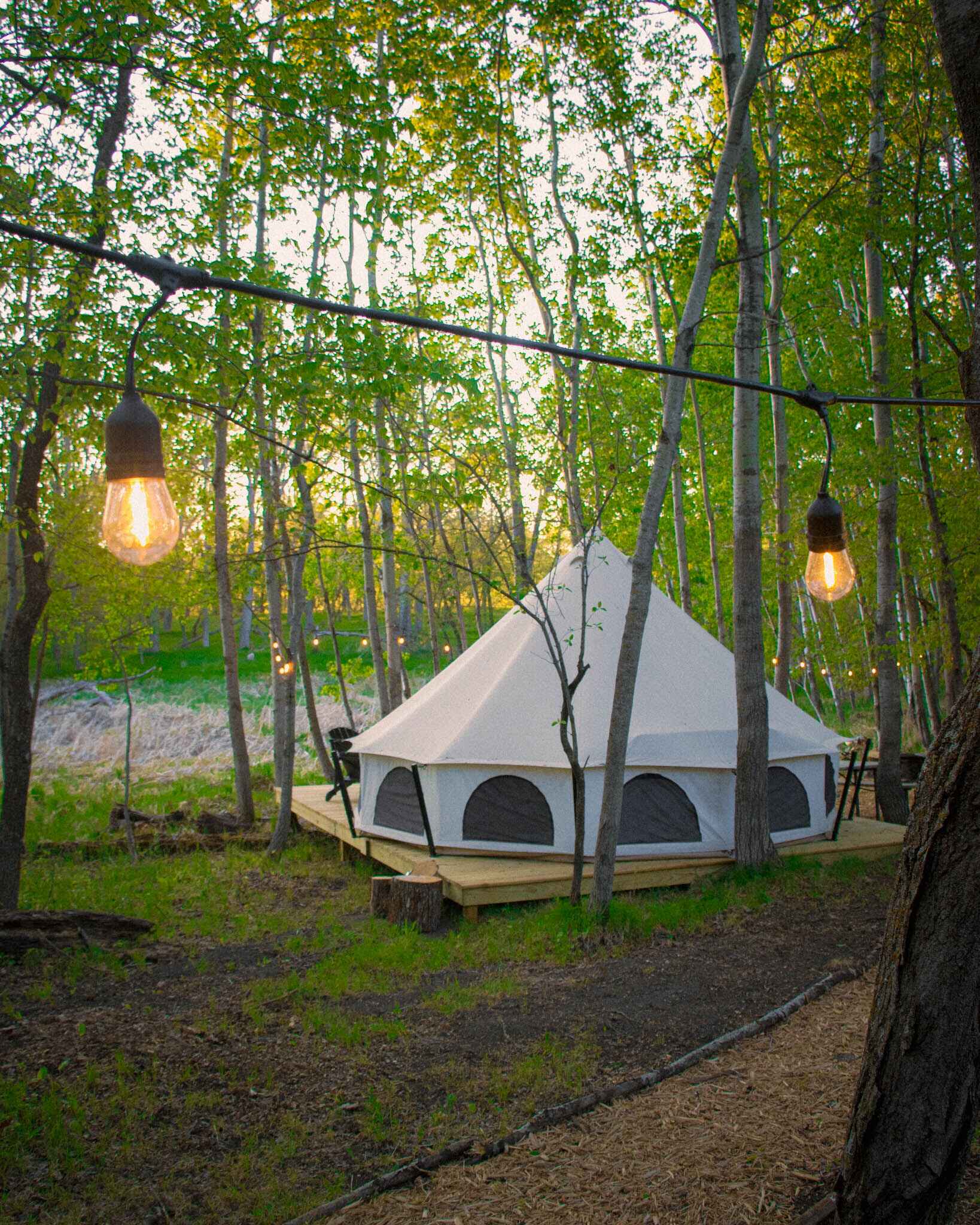 A glamping tent near battle lake lit by fairy lights
