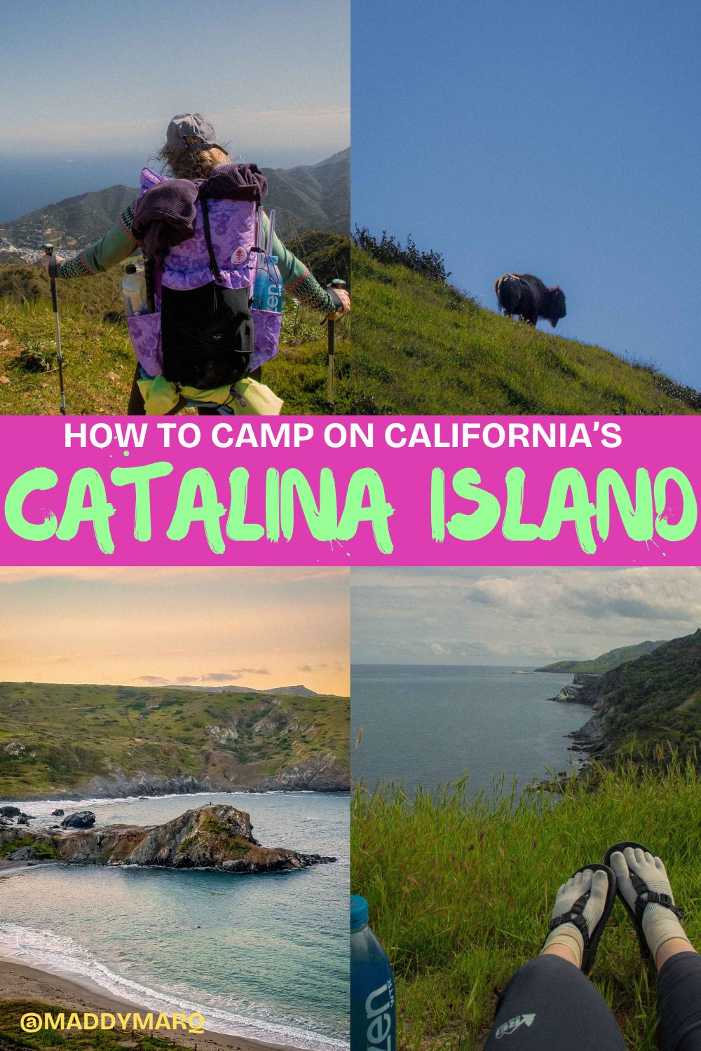 text "how to camp on california's catalina island" over image collage of hiking along the california cost on catalina island and campsites