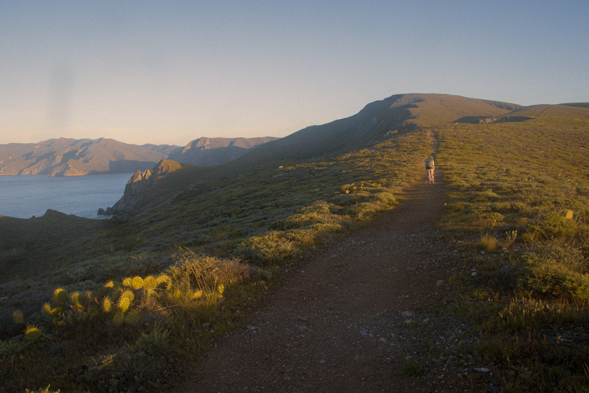 image of a hiker at dawn on catalina island in California
