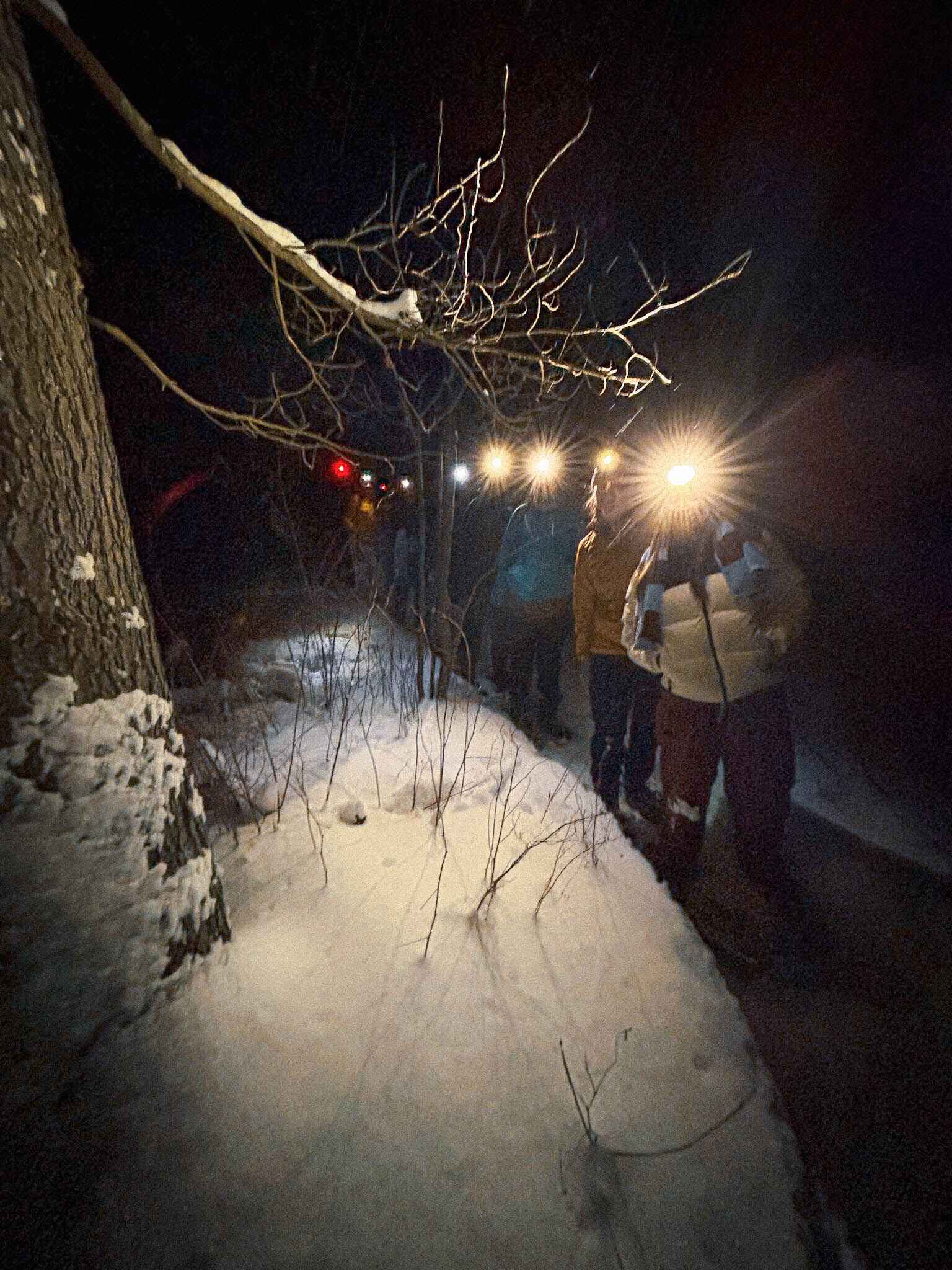 a group snowshoes in the dark with their headlamps shining