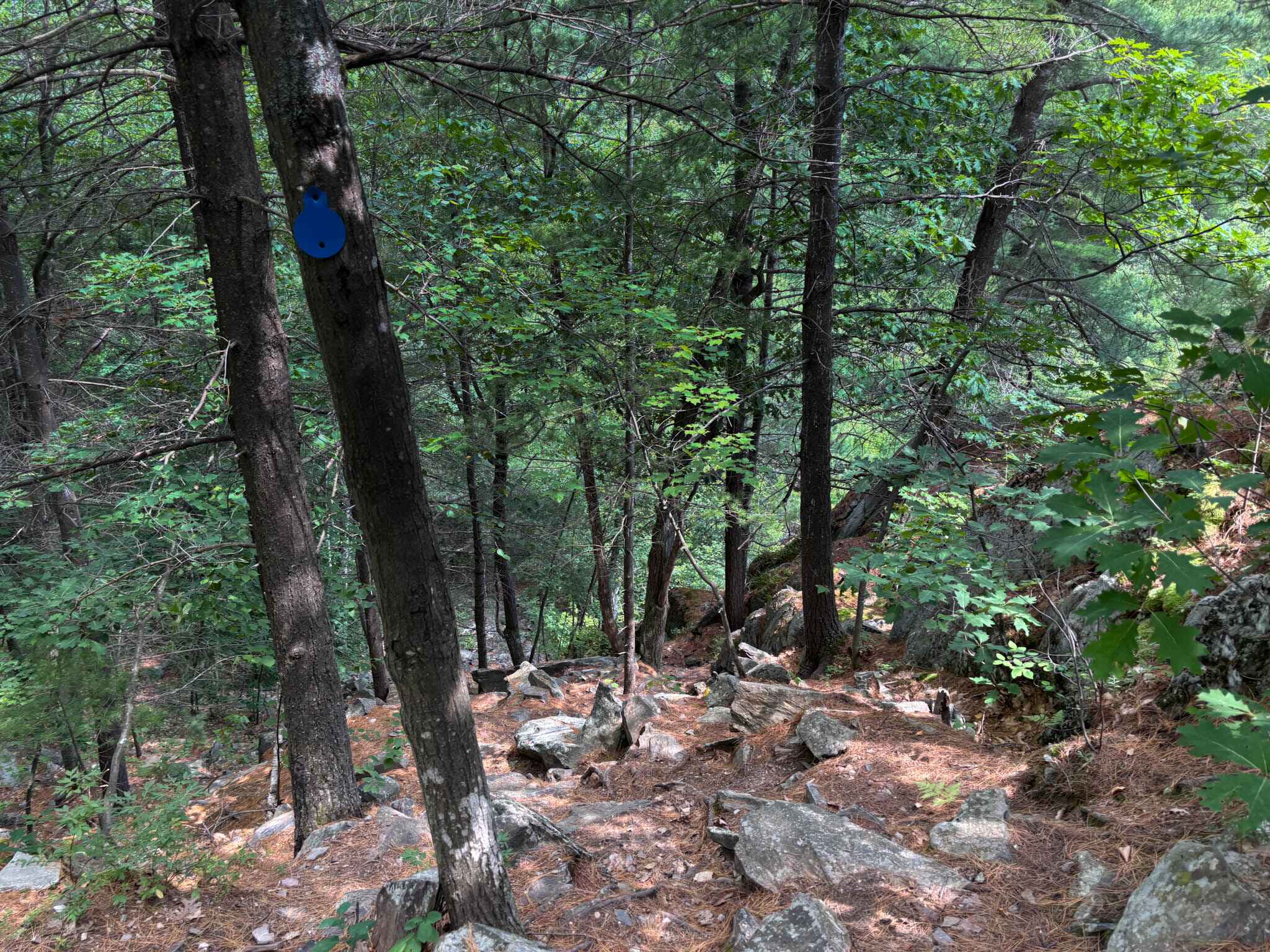 Image of a tricky ascent in Killarney Provincial park on the La Cloche Silhouette Trail