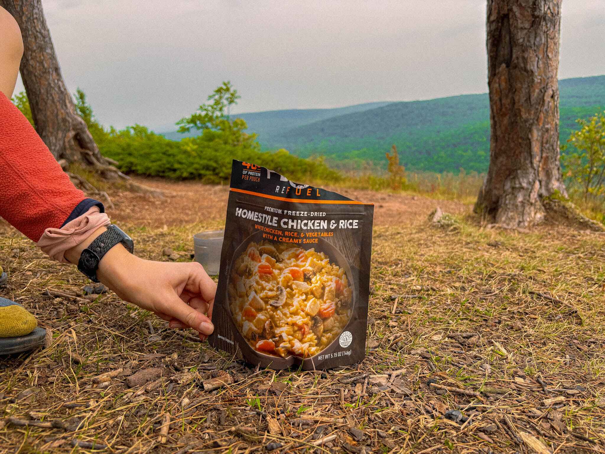 Homestyle chicken and rice package is held in front of rolling mountains