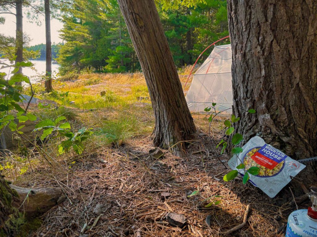 Mountain house meal sits by a tree in a campsite