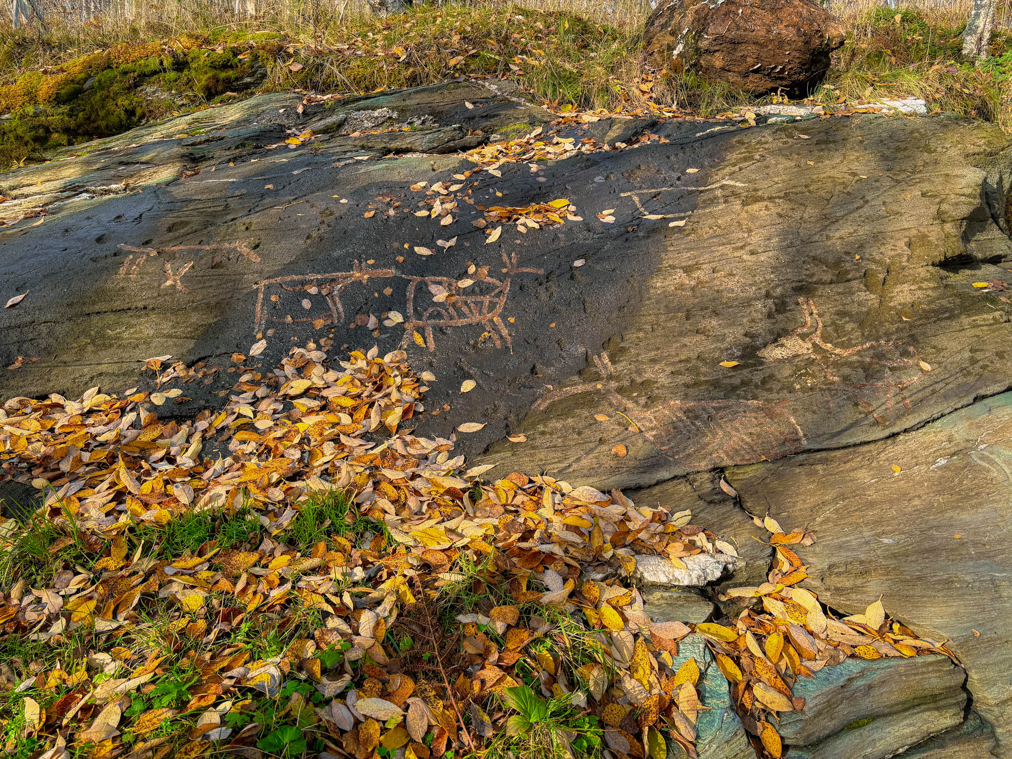 Image of the Tennes pictographs in Northern Norway